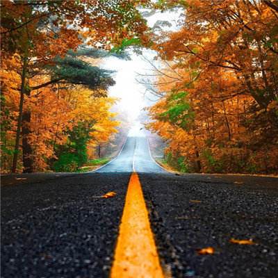 金年会官方APP下载