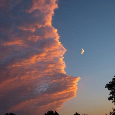 BoB体育平台手机下载