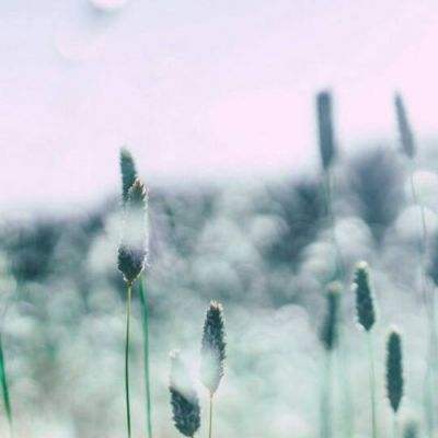 金年会官方APP下载